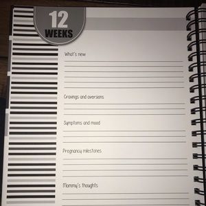 Polka Dot Office - Bump Pregnancy Journal Polka Dot Office - Bump Pregnancy Journal